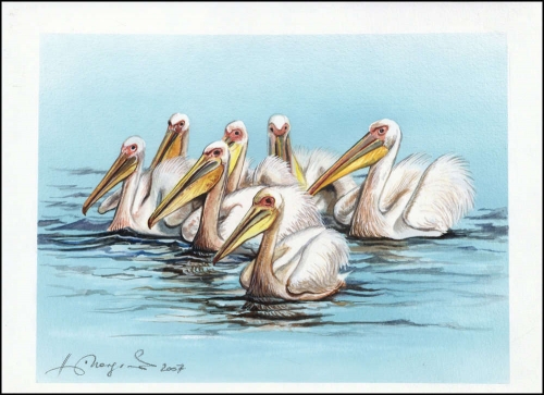 2007, Ukraine, (900) Original