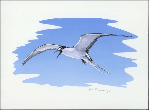 2007, Pitcairn, (717) Original