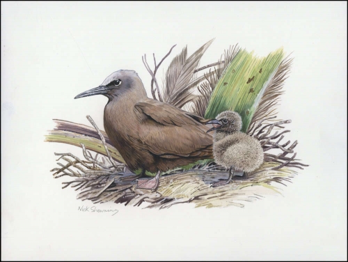 2007, Pitcairn, (719) Original