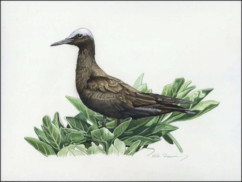 2007, Pitcairn, (720) Original