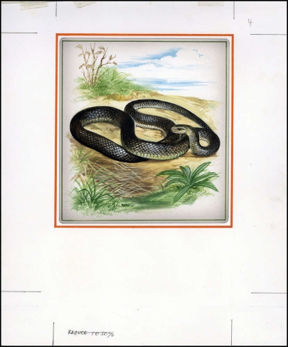 1993, Moldawien, (52) Original