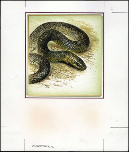 1993, Moldawien, (53) Original