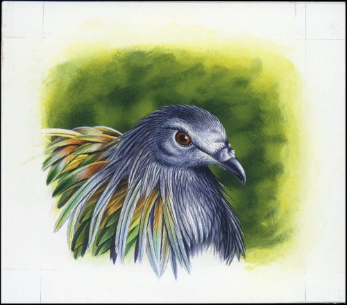 1993, Salomoninseln, (835) Original