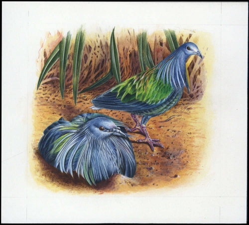 1993, Salomoninseln, (836) Original