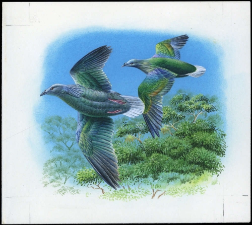 1993, Salomoninseln, (837) Original