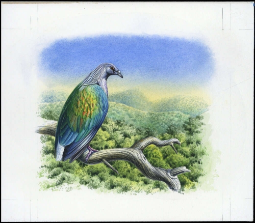 1993, Salomoninseln, (838) Original