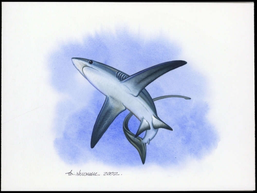 2002, Tokelau Inseln, (323) Original