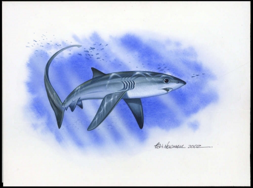 2002, Tokelau Inseln, (325) Original