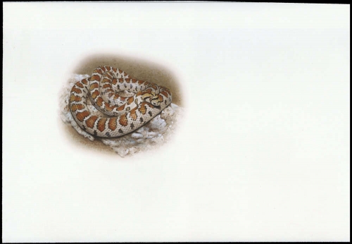 2002, Ukraine, (502) Original