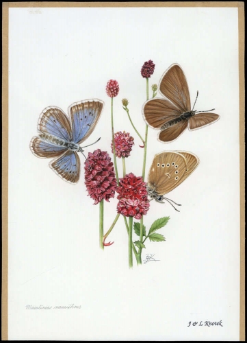 2002, Tschechische Republik, (324) Original