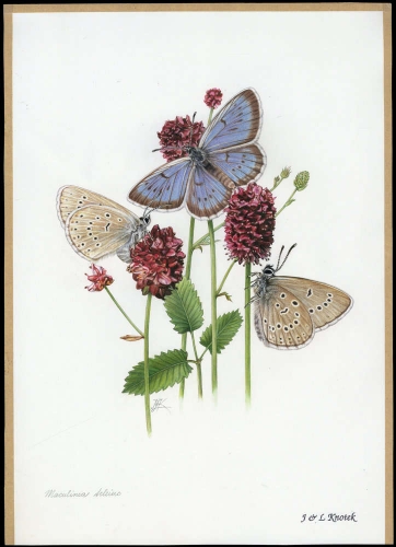 2002, Tschechische Republik, (326) Original