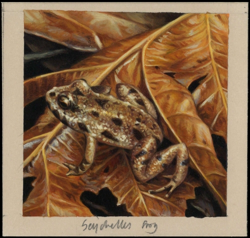 2003, Seychellen, (867) Original