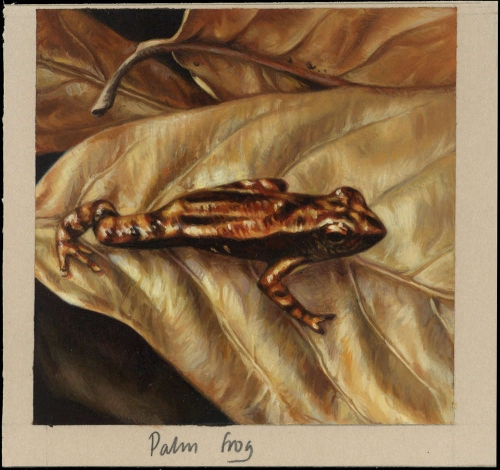 2003, Seychellen, (869) Original