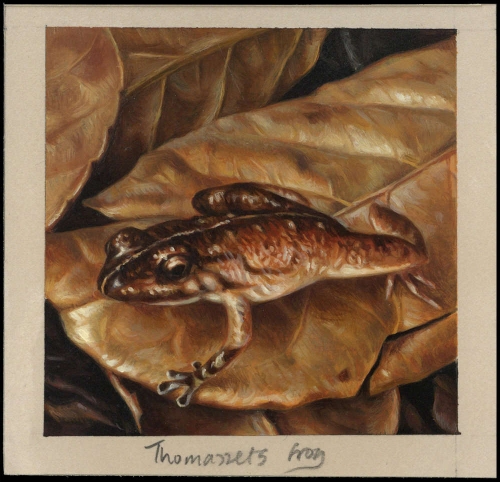 2003, Seychellen, (870) Original