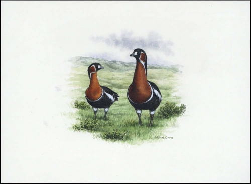 1998, Ukraine, (282) Original