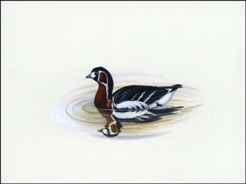 1998, Ukraine, (284) Original