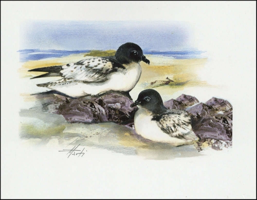 1997, Ross Gebiet, (51) Original