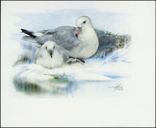 1997, Ross Gebiet, (52) Original