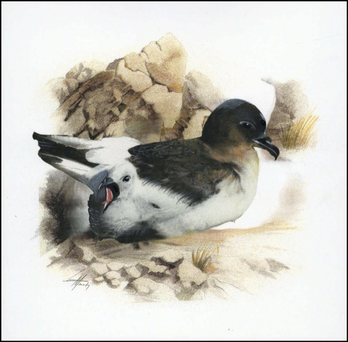 1997, Ross Gebiet, (53) Original