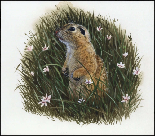 1996, Tschechische Republik, (112) Original