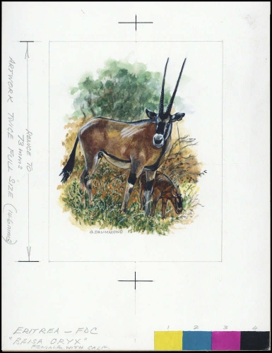 1996, Eritrea, (87) Original