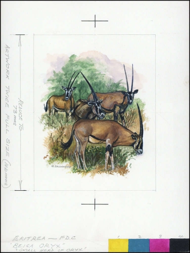 1996, Eritrea, (89) Original