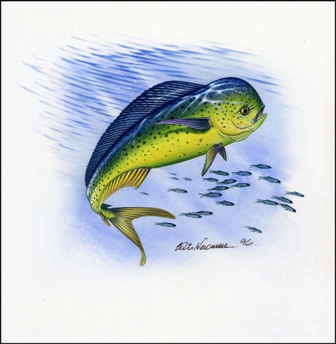 1997, Nauru, (437) Original