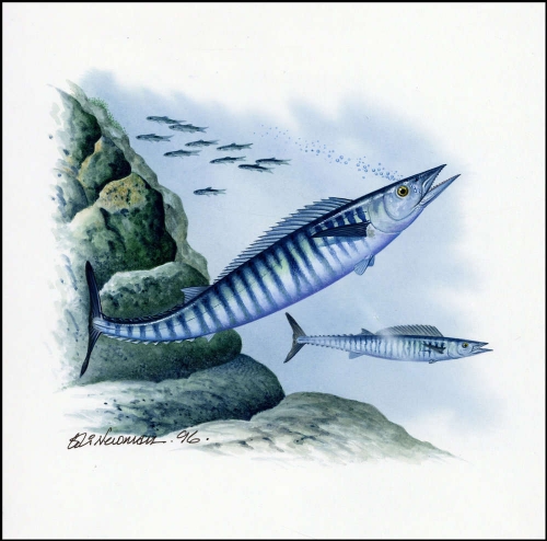 1997, Nauru, (438) Original