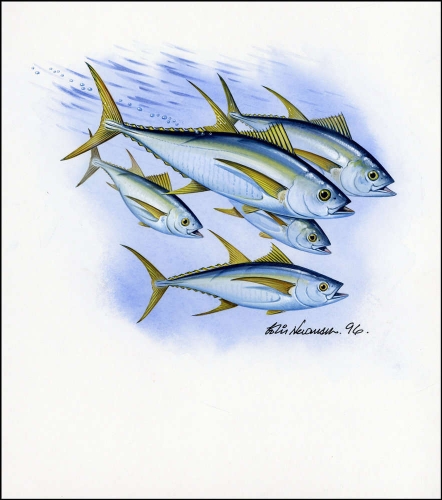 1997, Nauru, (440) Original