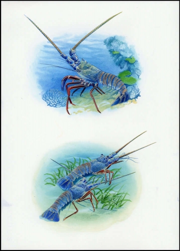 1998, Kiribati, (771+73) Original