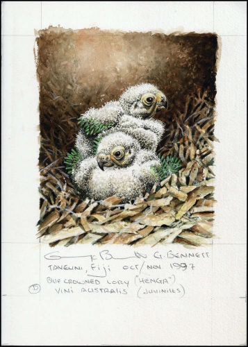 1998, Niuafoou Inseln, (326) Original