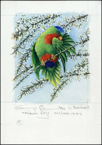 1998, Niuafoou Inseln, (328) Original