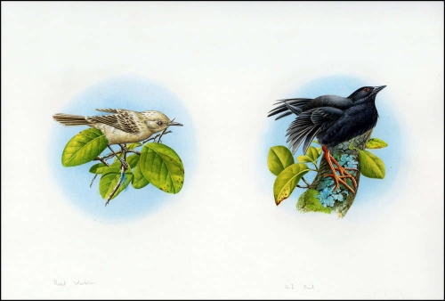 1996, Pitcairn, (487+89) Original