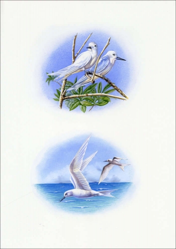 1999, Ascension, (786+89) Original