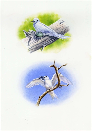 1999, Ascension, (787+88) Original
