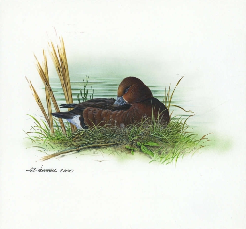 2000, Aserbeidschan, (474) Original