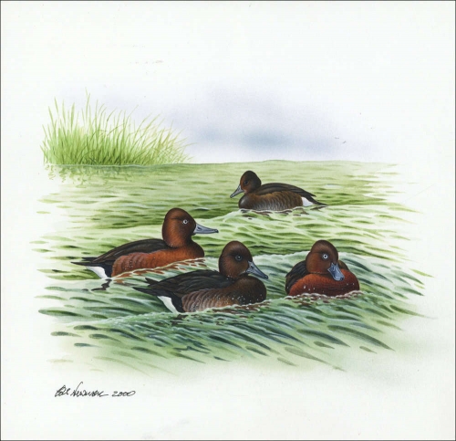 2000, Aserbeidschan, (475) Original