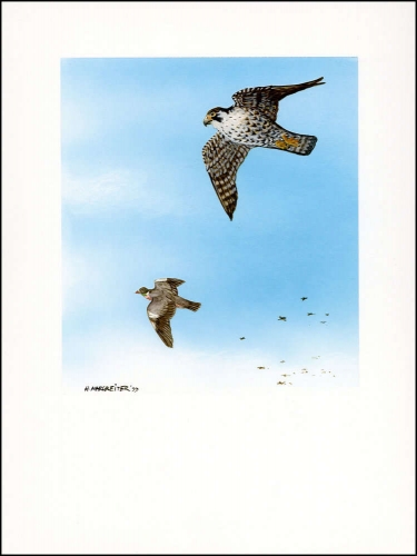2000, Alderney, (150) Original