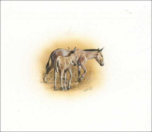 2001, Kasachstan, (345) Original