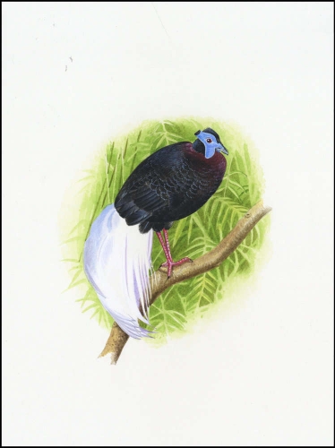 2001, Brunei, (622) Original