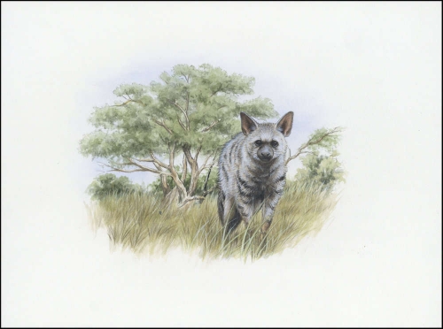 2001, Eritrea, (254) Original