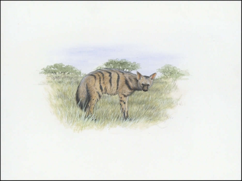 2001, Eritrea, (255) Original