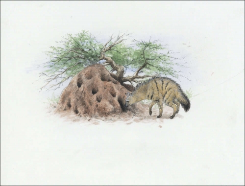 2001, Eritrea, (256) Original