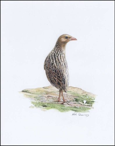 2001, Moldawien, (379) Original