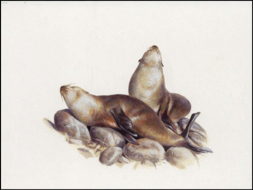 2004, Tristan da Cunha, (822) Original