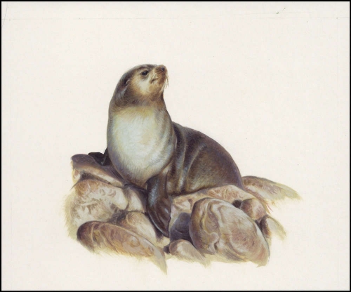 2004, Tristan da Cunha, (823) Original