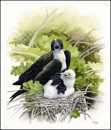 2008, Nauru, (690) Original