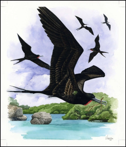 2008, Nauru, (691) Original