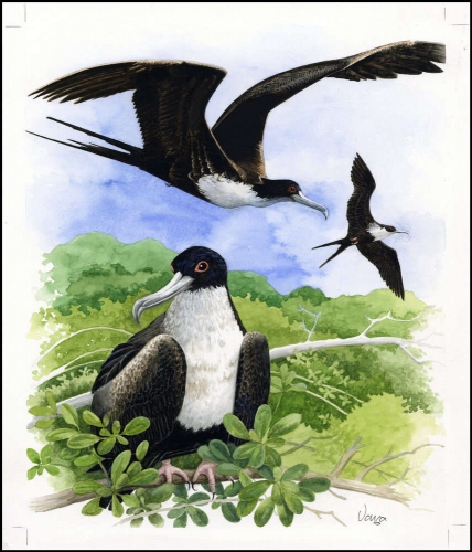 2008, Nauru, (692) Original