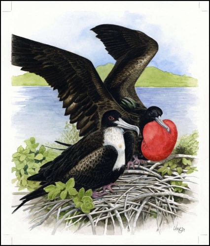 2008, Nauru, (693) Original